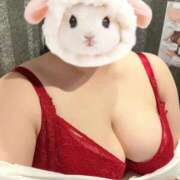 ヒメ日記 2026/02/22 20:12 投稿 なつ ニューヨーカー