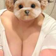 ヒメ日記 2026/03/04 06:12 投稿 なつ ニューヨーカー