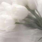 ヒメ日記 2026/02/02 17:09 投稿 野乃みれい FORTE