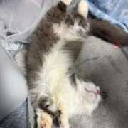 ヒメ日記 2026/02/08 17:01 投稿 野乃みれい FORTE