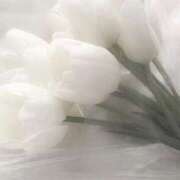 ヒメ日記 2026/02/15 11:39 投稿 野乃みれい FORTE