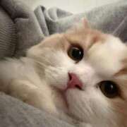 ヒメ日記 2026/02/21 17:19 投稿 野乃みれい FORTE