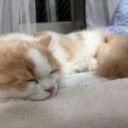 ヒメ日記 2026/02/24 13:09 投稿 野乃みれい FORTE