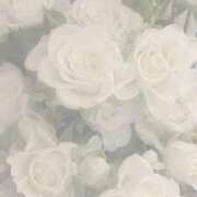 ヒメ日記 2026/02/24 15:21 投稿 野乃みれい FORTE