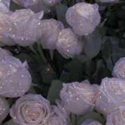 ヒメ日記 2026/03/02 18:29 投稿 野乃みれい FORTE