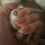 ヒメ日記 2026/02/12 12:14 投稿 あい ごほうびSPA横浜店