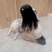 ヒメ日記 2026/03/13 11:05 投稿 あい ごほうびSPA横浜店