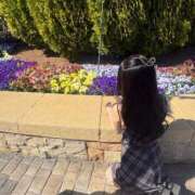 ヒメ日記 2026/03/18 16:54 投稿 あい ごほうびSPA横浜店