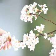 ヒメ日記 2026/04/03 20:34 投稿 あい ごほうびSPA横浜店