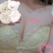 ヒメ日記 2026/02/17 09:19 投稿 しずか スピードエコ日本橋店