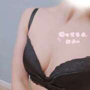 しずか しずか（エコ日本橋店） スピードエコ日本橋店