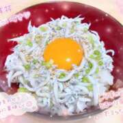 ヒメ日記 2026/07/17 22:09 投稿 しずか スピードエコ日本橋店