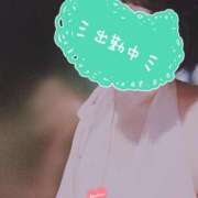 もも 今日もいるよー！🍑 エマニエル秋葉原