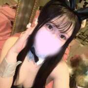 ヒメ日記 2026/01/15 07:39 投稿 もえ JAPAN CLUB BUNNY LOUNGE