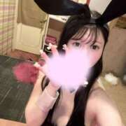 ヒメ日記 2026/01/21 17:25 投稿 もえ JAPAN CLUB BUNNY LOUNGE