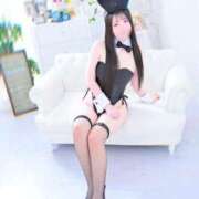 ヒメ日記 2026/01/23 06:05 投稿 もえ JAPAN CLUB BUNNY LOUNGE