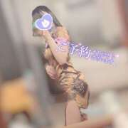 ヒメ日記 2026/02/12 12:04 投稿 めいの ハピネス札幌