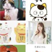 たま ※無題 ラブレター