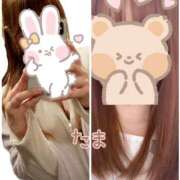 たま (*  *) ラブレター