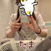 たま (^. .^  ) ラブレター