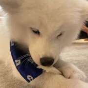 すい すい（スピード梅田店） スピード梅田店