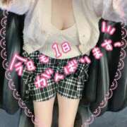 ヒメ日記 2026/02/11 11:22 投稿 石垣 熟女の風俗最終章 新横浜店