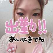 ヒメ日記 2026/05/01 20:26 投稿 石垣 熟女の風俗最終章 新横浜店