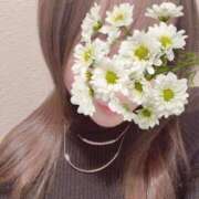 ヒメ日記 2026/03/17 13:41 投稿 真白かなで BLENDA V.I.P東京店