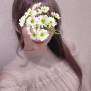 ヒメ日記 2026/04/24 20:01 投稿 真白かなで BLENDA V.I.P東京店