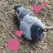 ヒメ日記 2026/01/19 15:33 投稿 ななせ Cawaiiハイ！スクールリターンズ