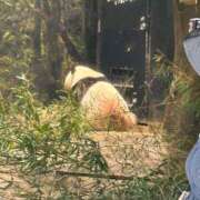 ななせ こんにちは☀️とオキニトーク？ Cawaiiハイ！スクールリターンズ