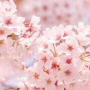 ヒメ日記 2026/01/24 07:59 投稿 ななせ Cawaiiハイ！スクールリターンズ