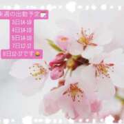 ヒメ日記 2026/01/30 17:01 投稿 ななせ Cawaiiハイ！スクールリターンズ