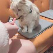 ヒメ日記 2026/02/10 17:45 投稿 ななせ Cawaiiハイ！スクールリターンズ