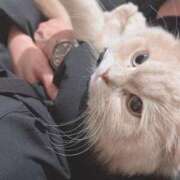 ヒメ日記 2026/02/11 19:01 投稿 ななせ Cawaiiハイ！スクールリターンズ