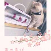 ヒメ日記 2026/02/15 16:01 投稿 ななせ Cawaiiハイ！スクールリターンズ