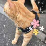 ヒメ日記 2026/02/17 18:02 投稿 ななせ Cawaiiハイ！スクールリターンズ