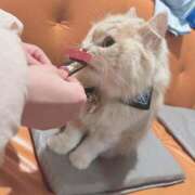 ヒメ日記 2026/02/18 18:58 投稿 ななせ Cawaiiハイ！スクールリターンズ