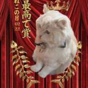 ヒメ日記 2026/02/22 10:02 投稿 ななせ Cawaiiハイ！スクールリターンズ