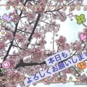 ヒメ日記 2026/03/17 12:16 投稿 ななせ Cawaiiハイ！スクールリターンズ