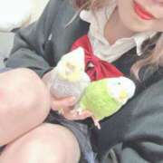 ヒメ日記 2026/03/17 13:53 投稿 ななせ Cawaiiハイ！スクールリターンズ