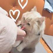 ヒメ日記 2026/03/18 12:04 投稿 ななせ Cawaiiハイ！スクールリターンズ