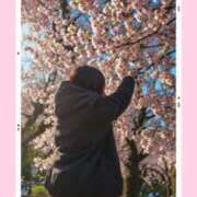 ヒメ日記 2026/03/28 10:45 投稿 ななせ Cawaiiハイ！スクールリターンズ