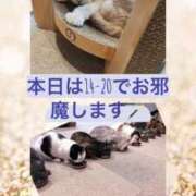 ヒメ日記 2026/04/16 12:04 投稿 ななせ Cawaiiハイ！スクールリターンズ