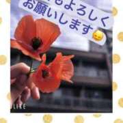 ヒメ日記 2026/04/19 10:02 投稿 ななせ Cawaiiハイ！スクールリターンズ