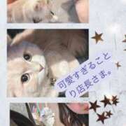 ななせ 本日もありがとうございました Cawaiiハイ！スクールリターンズ