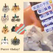 ヒメ日記 2026/05/08 11:00 投稿 ななせ Cawaiiハイ！スクールリターンズ