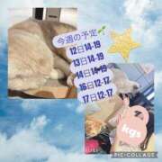 ヒメ日記 2026/05/11 09:15 投稿 ななせ Cawaiiハイ！スクールリターンズ