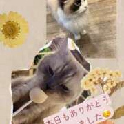 ヒメ日記 2026/06/07 17:40 投稿 ななせ Cawaiiハイ！スクールリターンズ