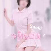 ヒメ日記 2026/02/24 12:00 投稿 佐伯　看護師 渋谷アナル専門M性感　渋谷KANGO